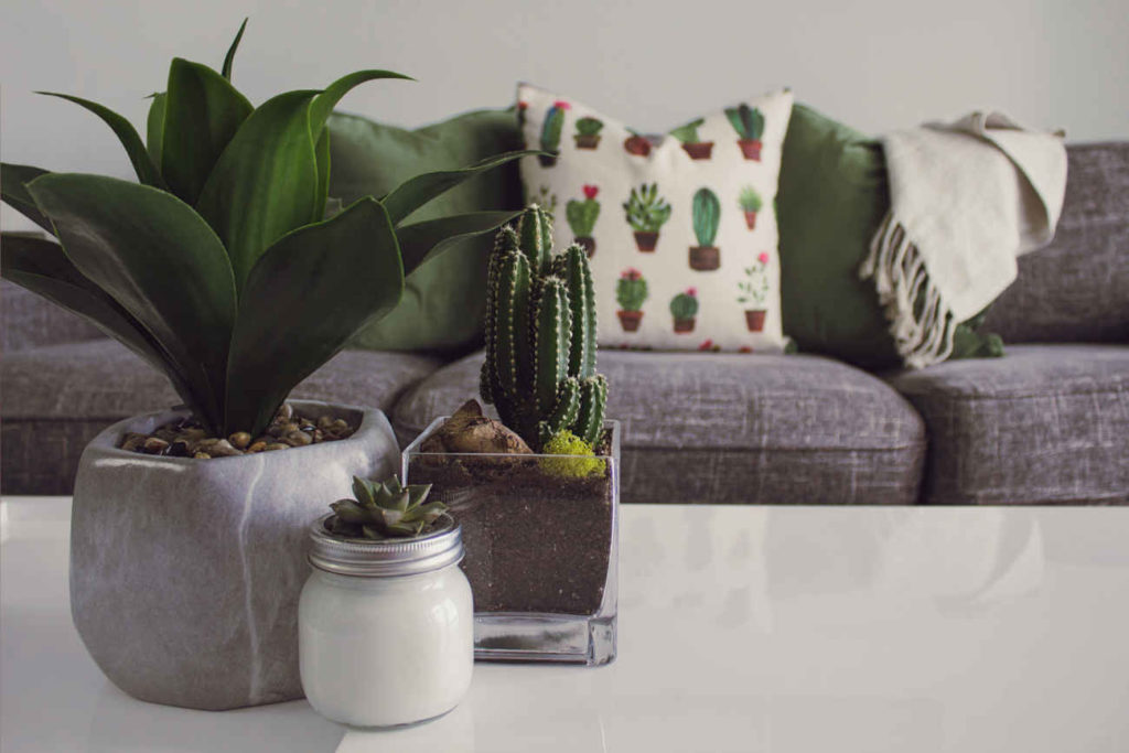 how to become an interior designer