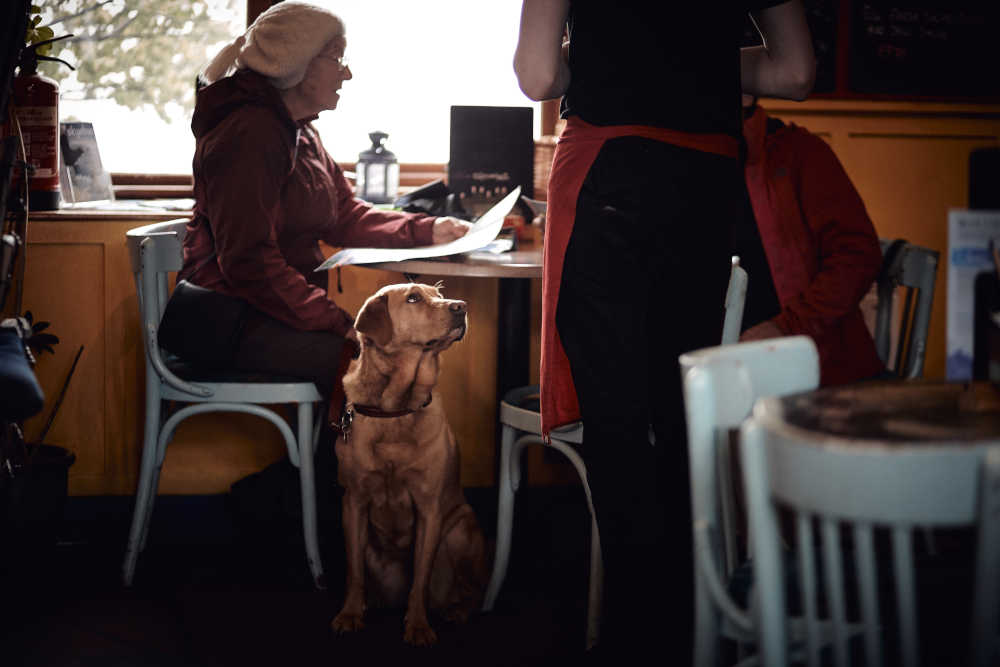 carer in cafe