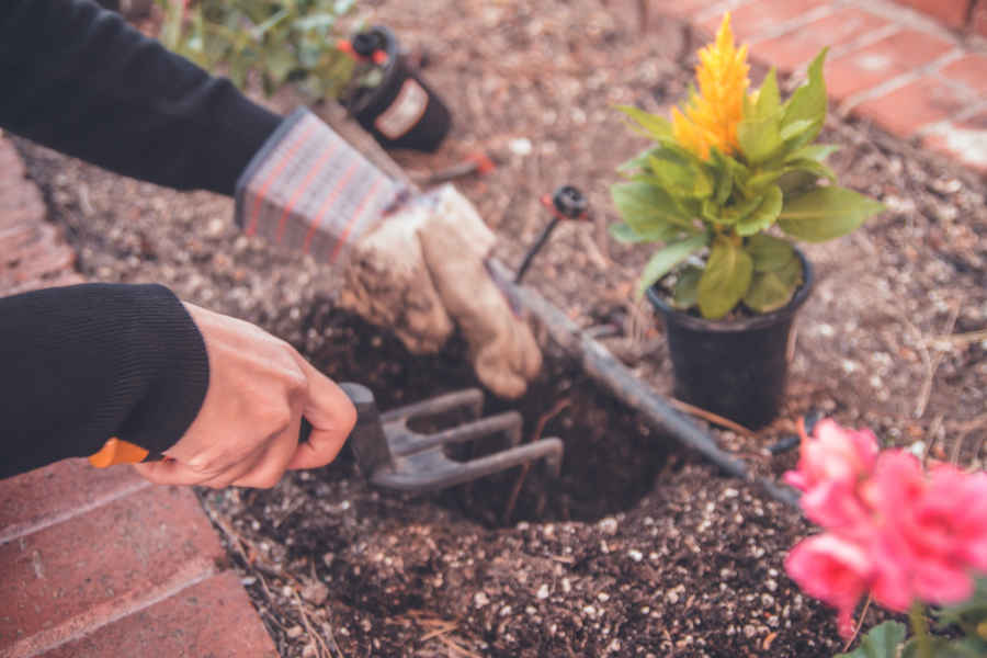 gardening