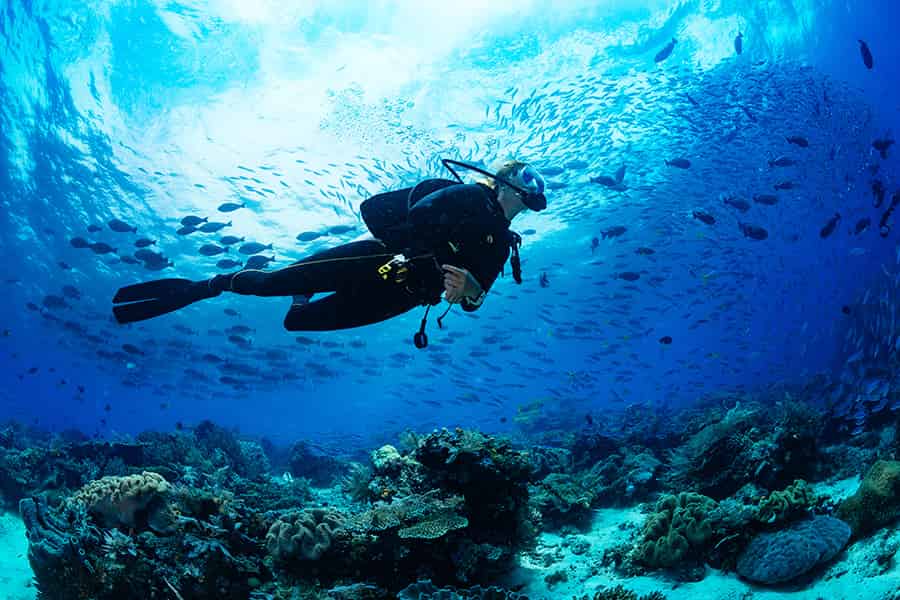 adventurous things to try - scuba diving