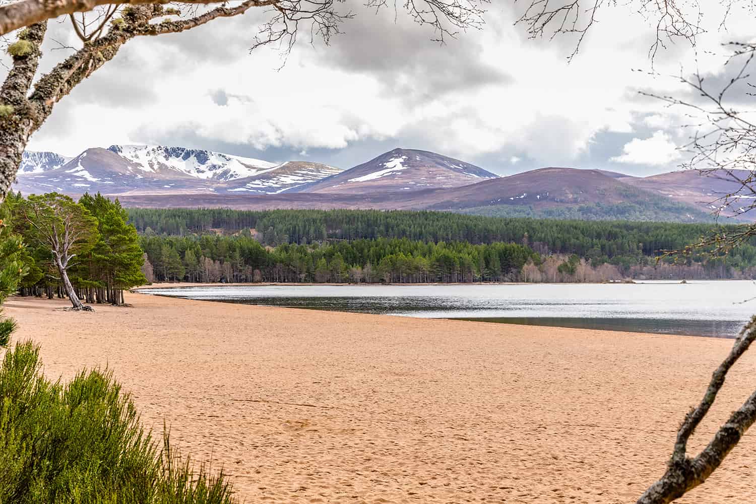 A Beginner's Guide To The Cairngorms - Target Dry