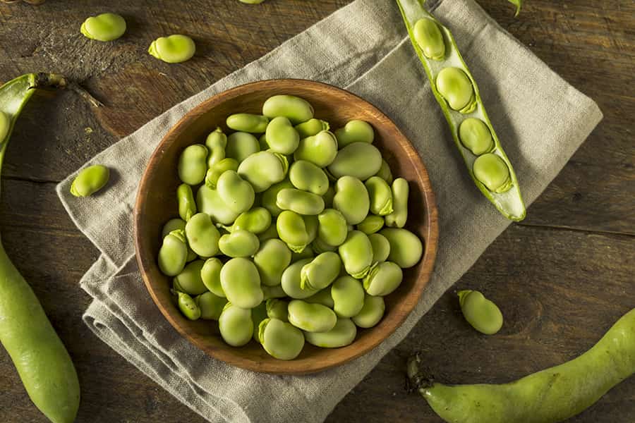 Broad beans