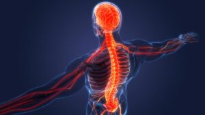 10 science-backed ways to take care of your nervous system - Rest Less