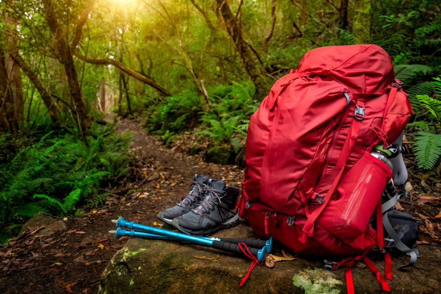 Survival training