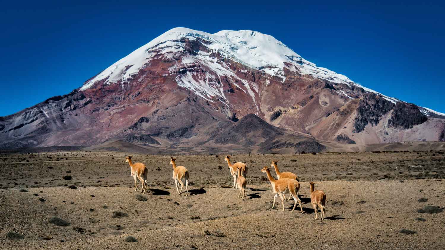 10 of the best things to see and do in Ecuador and the Galapagos ...