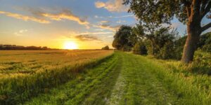 Dorset – where dreams begin