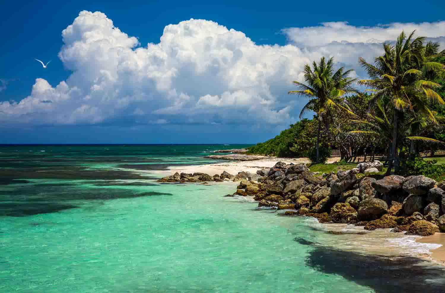 12 hidden gems and unique things to do in Jamaica - Rest Less