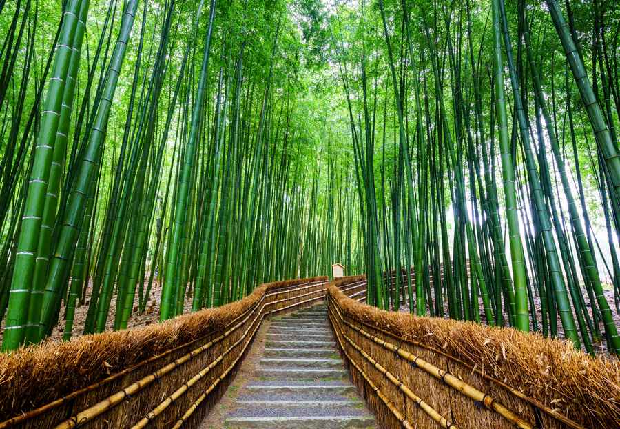 Kyoto, Japan