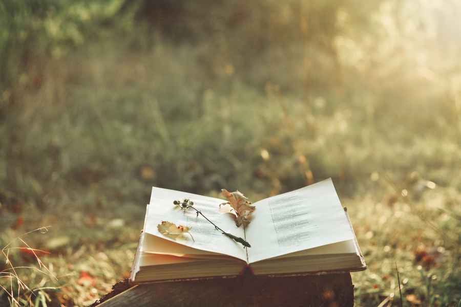 A Summer Feast of Poetry