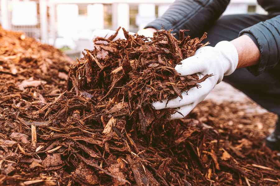 Smother your weeds with mulch