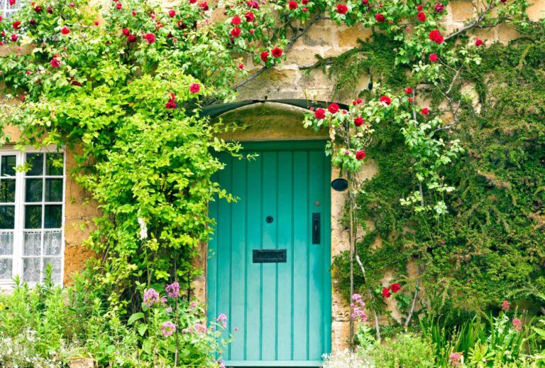 The cottage