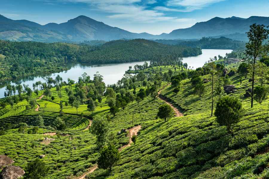 Walking in Kerala