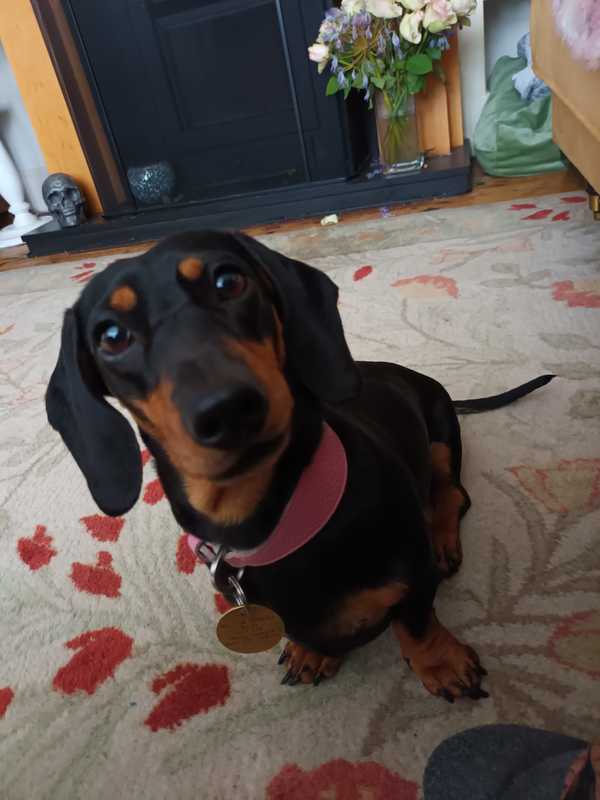 Willow engaged in a serious conversation about politics