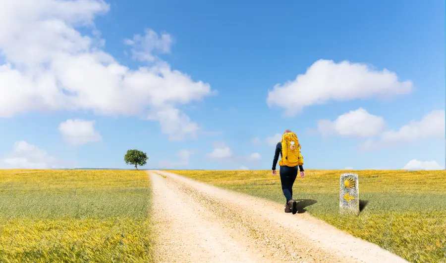 Camino Primitivo