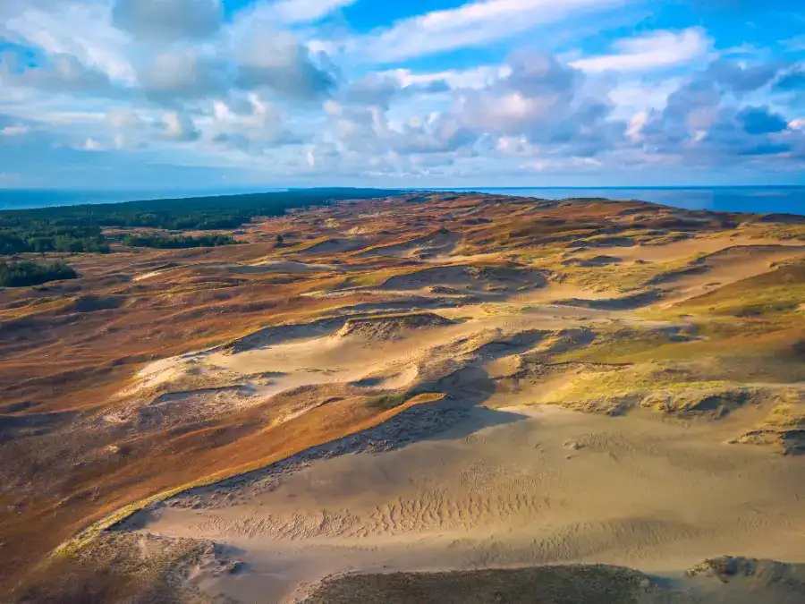 Dead Dunes, Lithuania