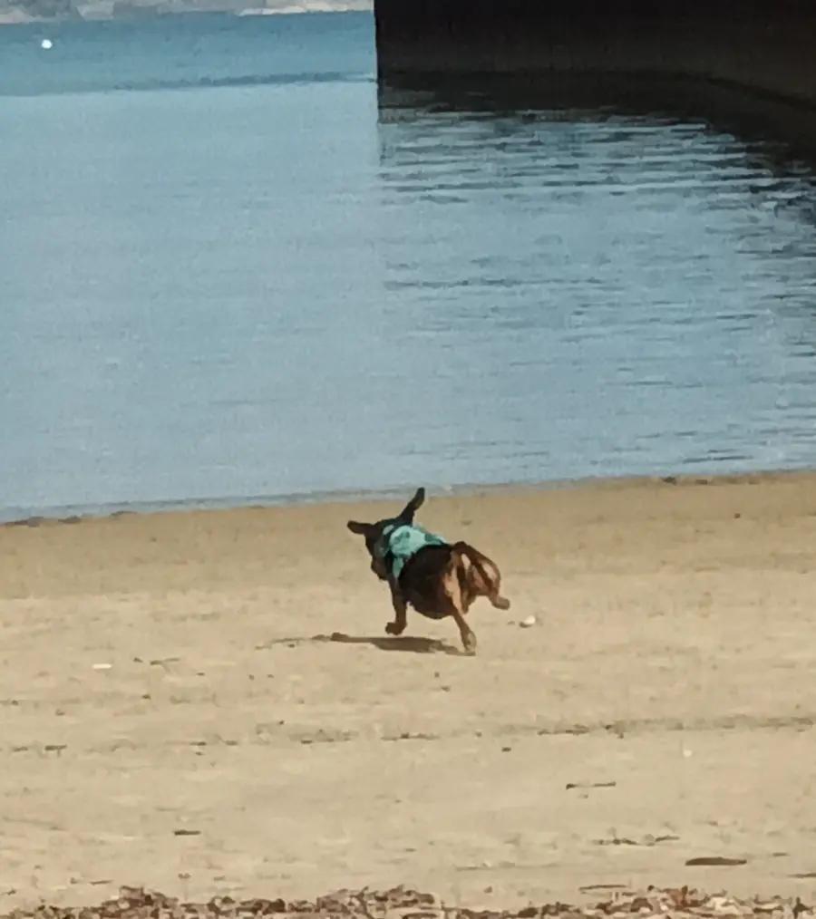 Weymouth beach