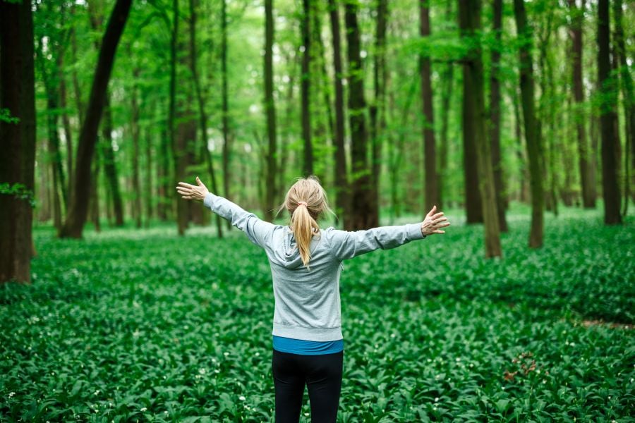 Escape to the forest