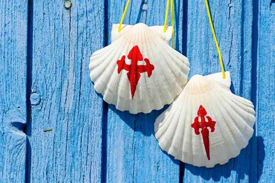 Why are gold scallop shells used to signpost the route