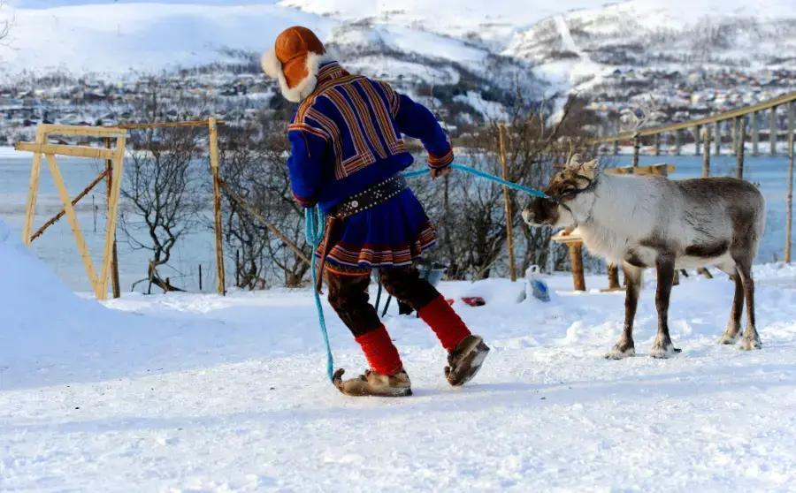 Immerse yourself in the Sámi way of life