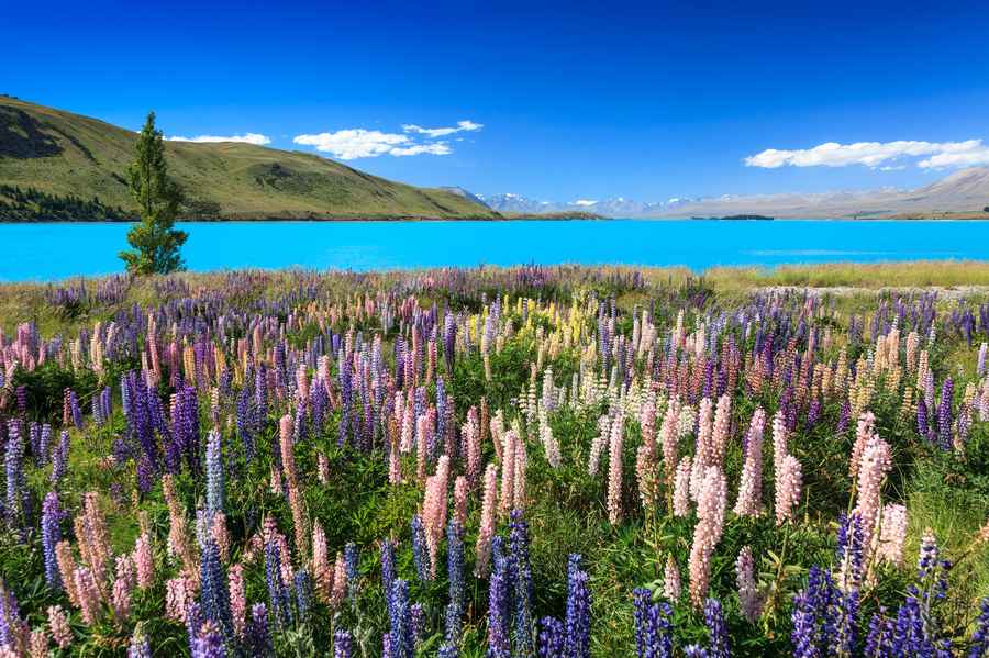 Mackenzie region, New Zealand