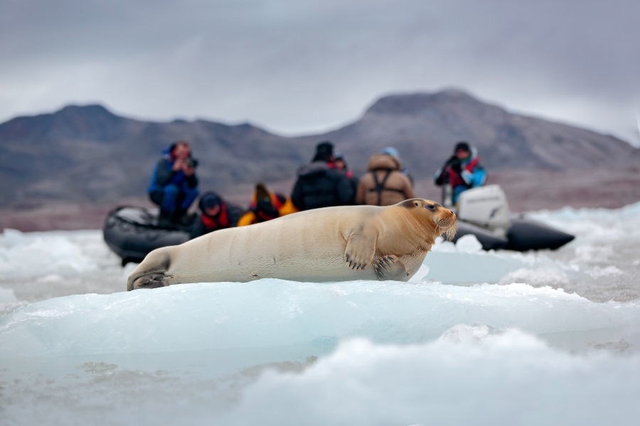 Observe other unique wildlife