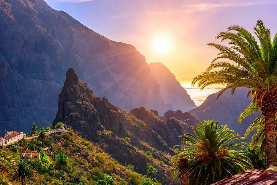 The Canary Islands