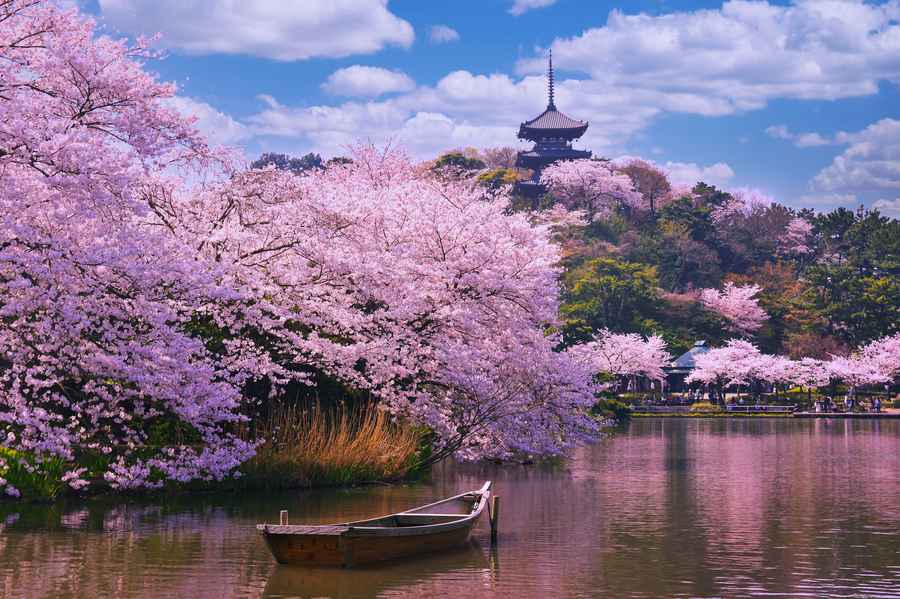 Tokyo, Japan