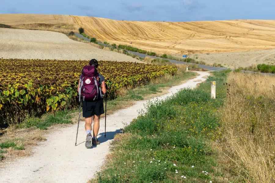 Why walk the Camino de Santiago