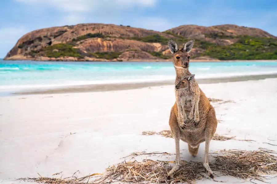 Australia