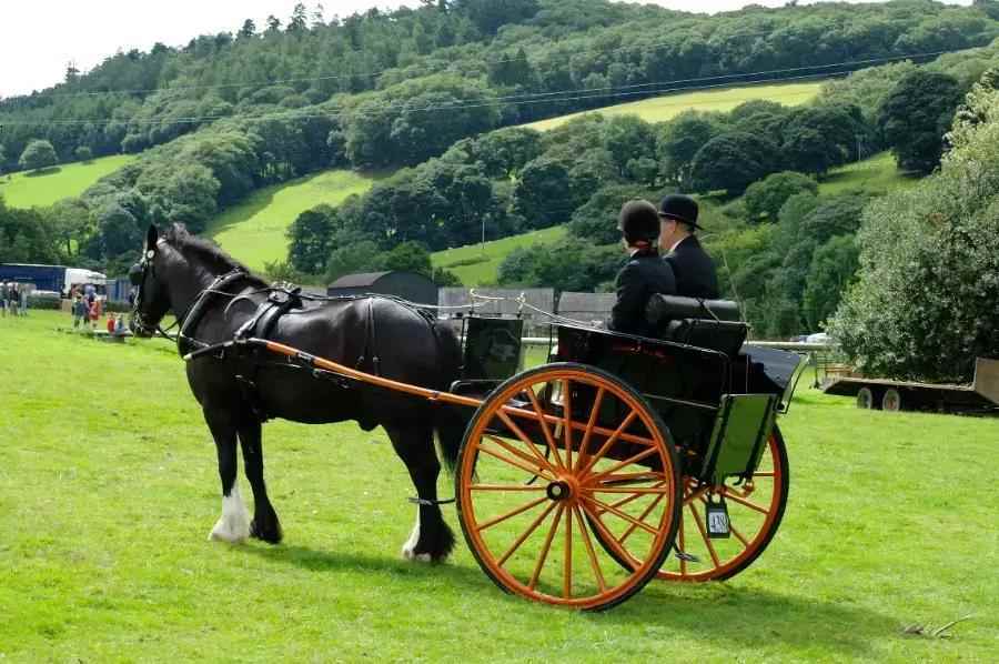 Carriage driving