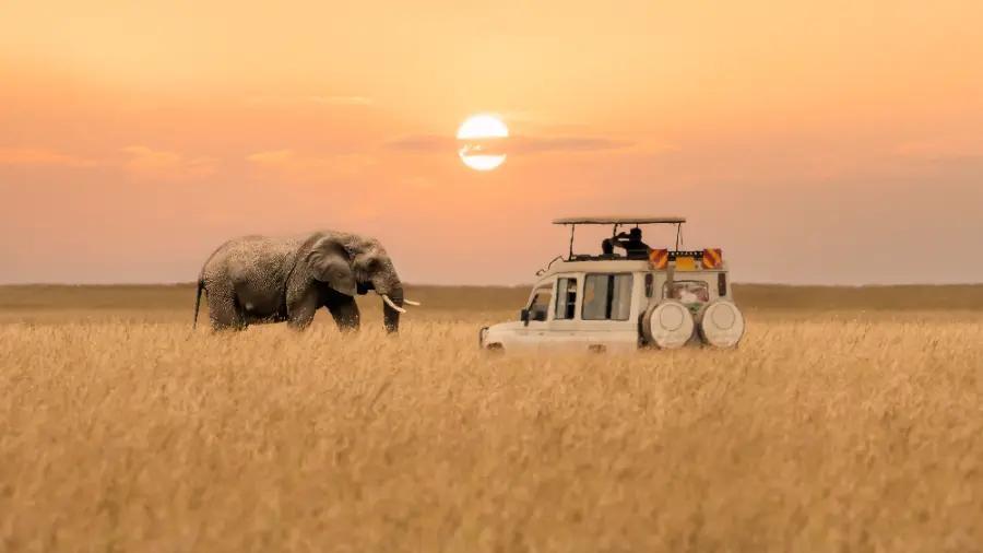 South Africa