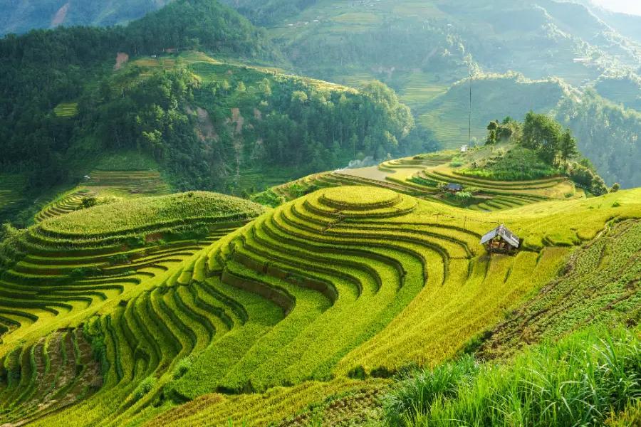 Vietnam
