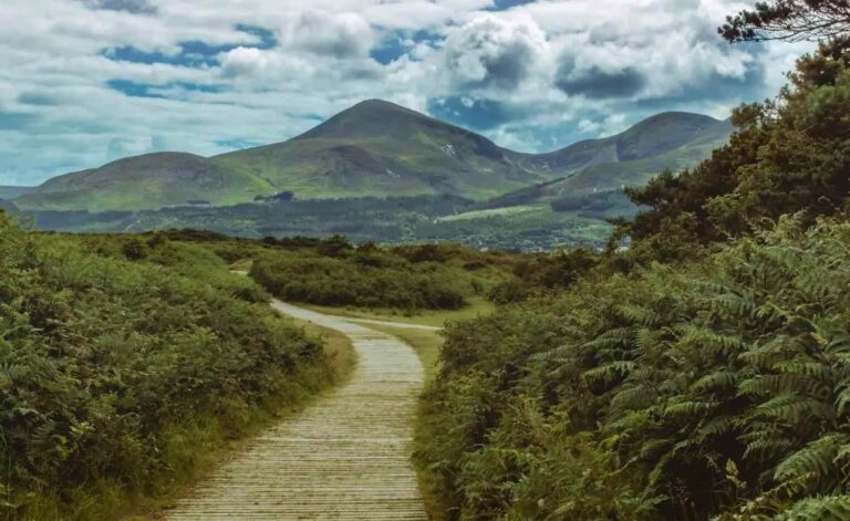 9 wonderful wildlife walks in the UK