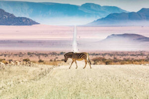 Experience Namibia’s otherworldly landscapes
