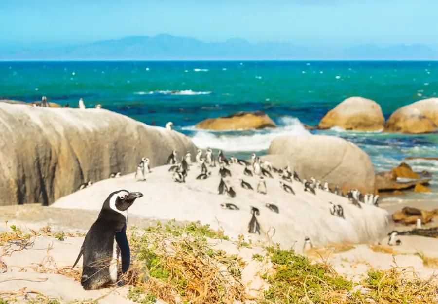 South Africa