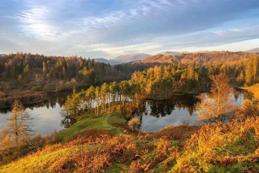 Grizedale Forest, Cumbria