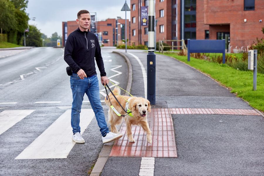 Guide dogs need to master 37 key behaviours before they can qualify