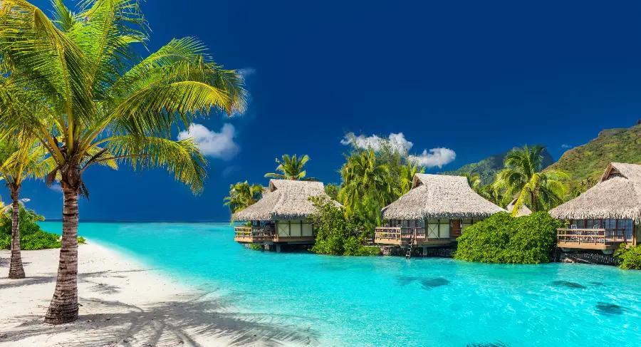 The Maldives