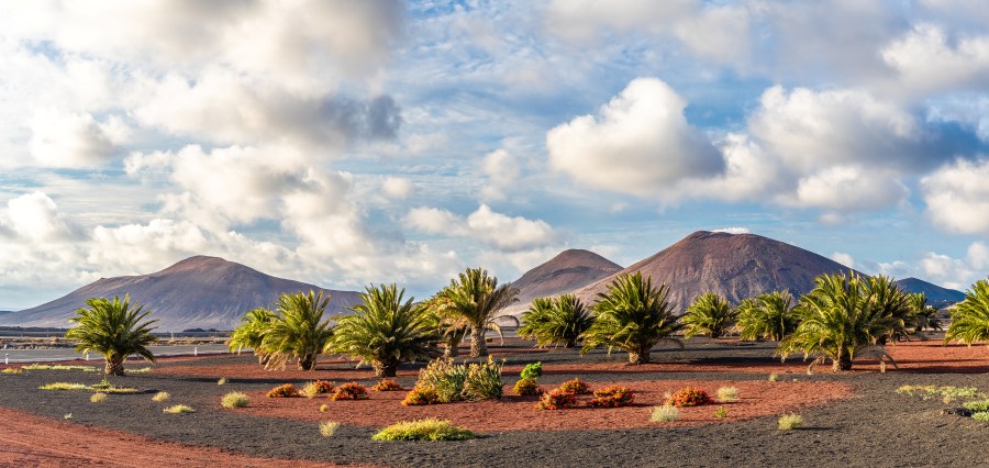 Timanfaya National Park, Lanzarote