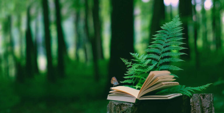 September book reviews