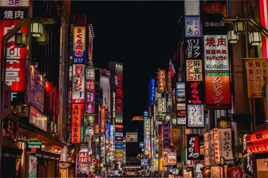 You can explore vibrant cities like Tokyo, Kyoto, and Hiroshima