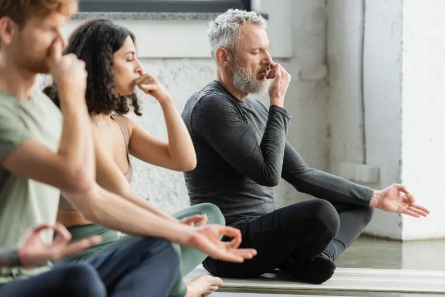 Pure Pranayama