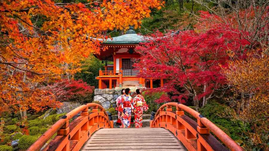 Its seasonal beauty is breathtaking