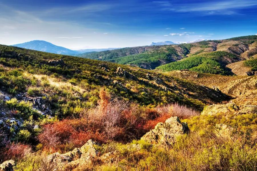 Sierra Norte, Mexico