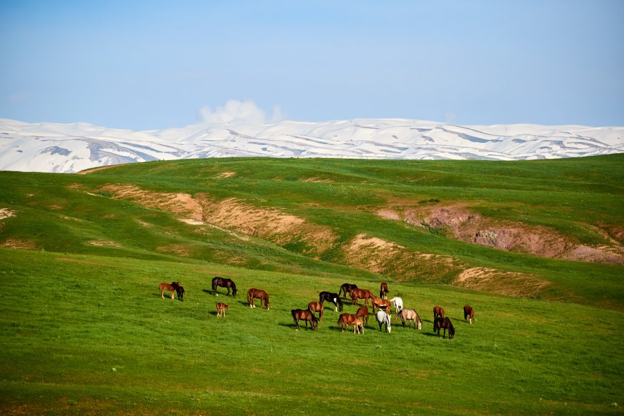 Tien Shan Mountain Range, Kyrgyzstan