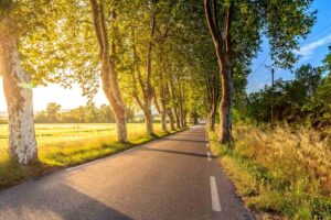 14 ways to save on car and travel costs