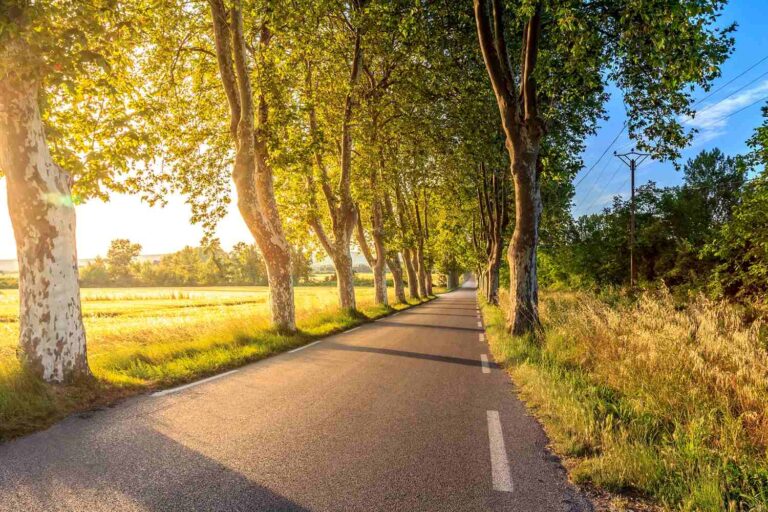 14 ways to save on car and travel costs