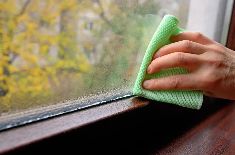 8 ways to prevent damp and mould in your home