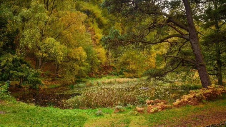 7 of the best walks in Northeast England - Rest Less