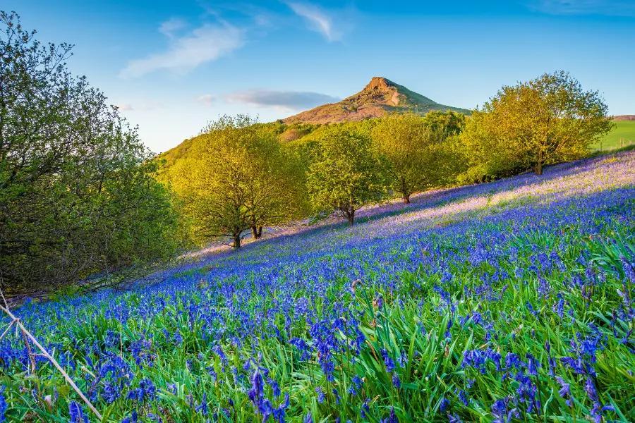 Roseberry Topping, North Yorkshire